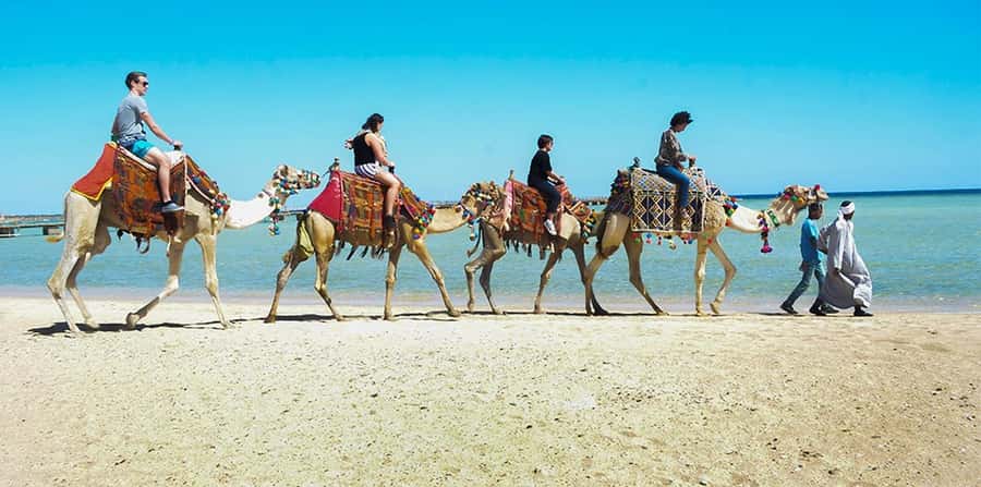 Marsa Alam: Sea and Desert Camel Riding Tour - Key points at a glance