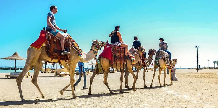 Marsa Alam: Sea and Desert Camel Riding Tour - A slow way to see Marsa Alam