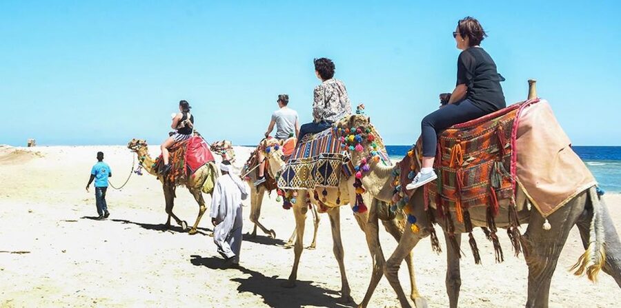 Marsa Alam: Sea and Desert Camel Riding Tour - Along the Red Sea shore