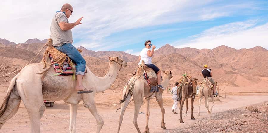 Marsa Alam: Sea and Desert Camel Riding Tour - What the $28 price really buys