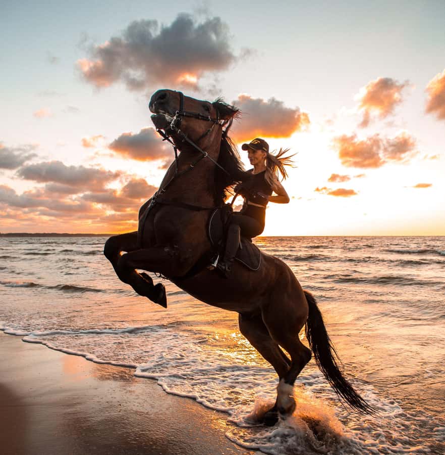 Marsa Alam: Sea and Desert Horse Riding Tour - Riding from Marsa Alam’s desert to the Red Sea
