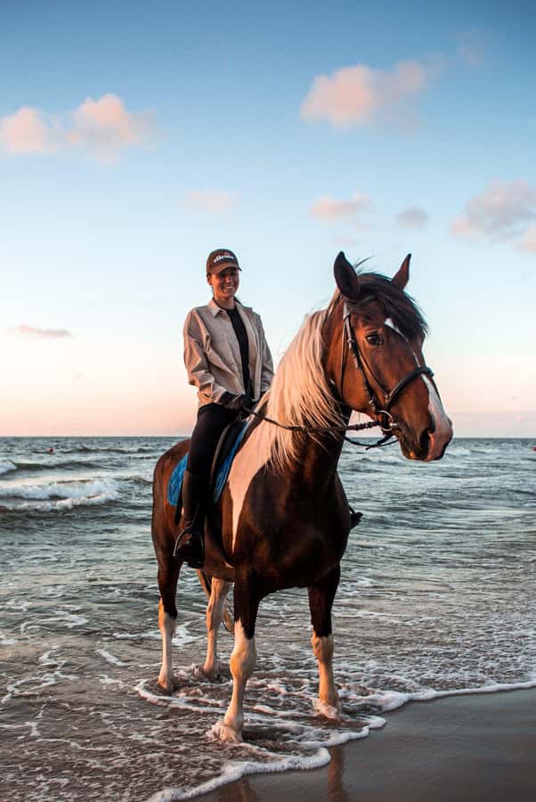 Marsa Alam: Sea and Desert Horse Riding Tour - The four departure times, and which one suits you