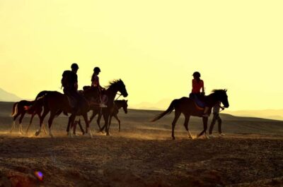 Sea and Desert Horse Riding Tour