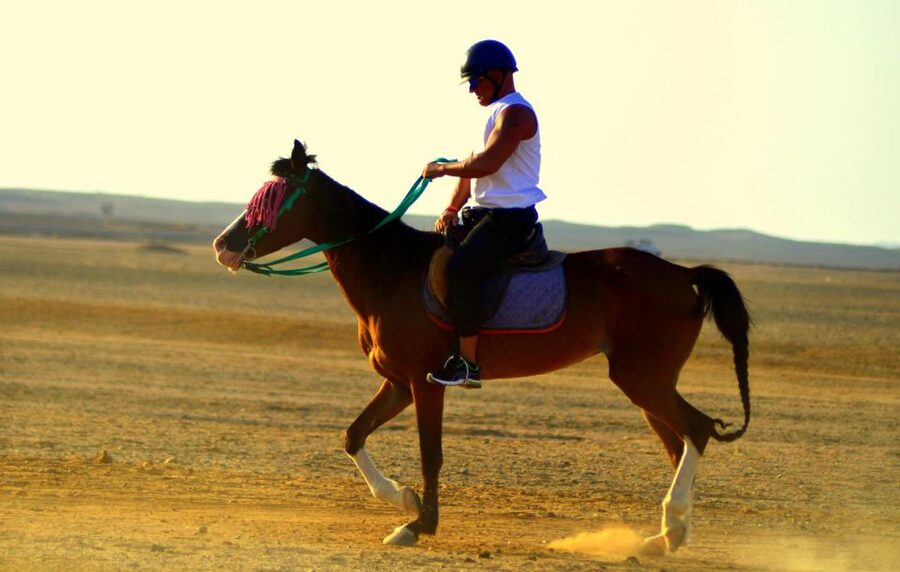 Marsa Alam: Sea and Desert Horse Riding Tour - The four-hour VIP ride and the sea swim