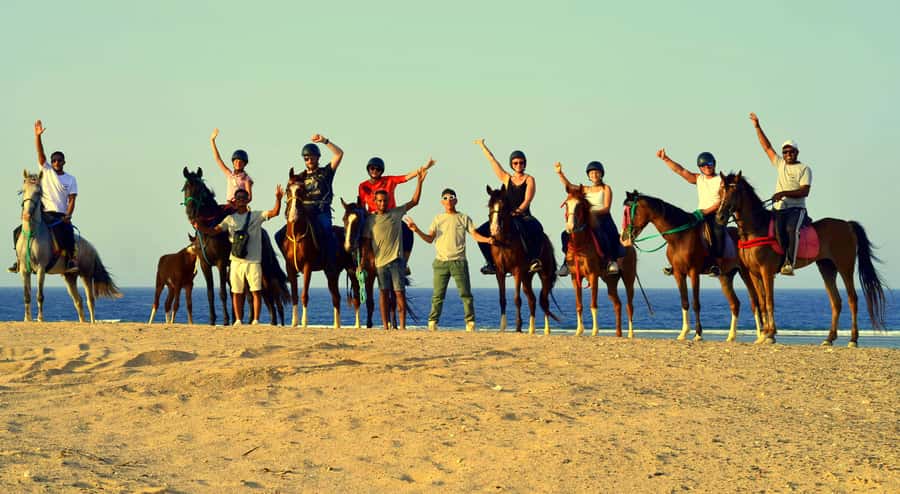 Marsa Alam: Sea and Desert Horse Riding Tour - Why the horses and guides matter