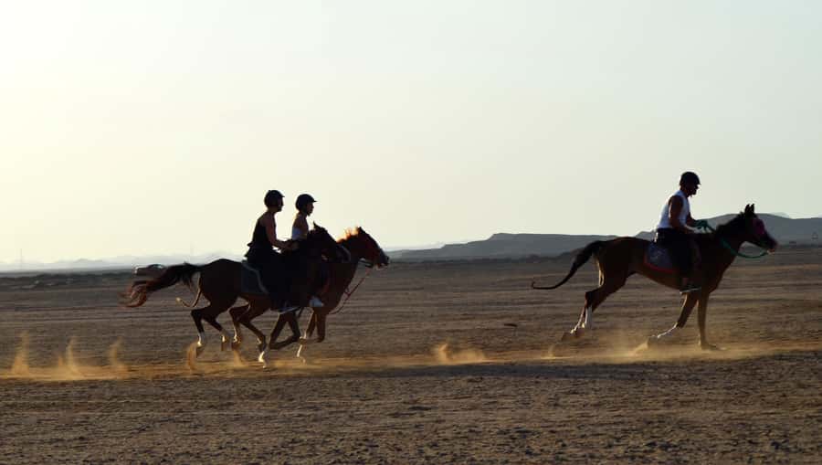 Marsa Alam: Sea and Desert Horse Riding Tour - Hotel pickup from Coraya Bay, Port Ghalib, and Marsa Alam City