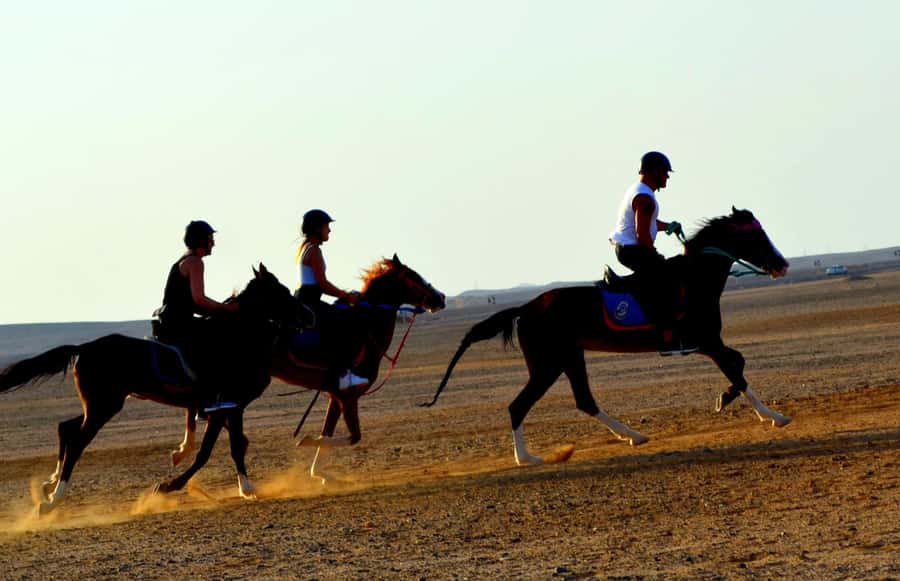 Marsa Alam: Sea and Desert Horse Riding Tour - Is $33 good value?