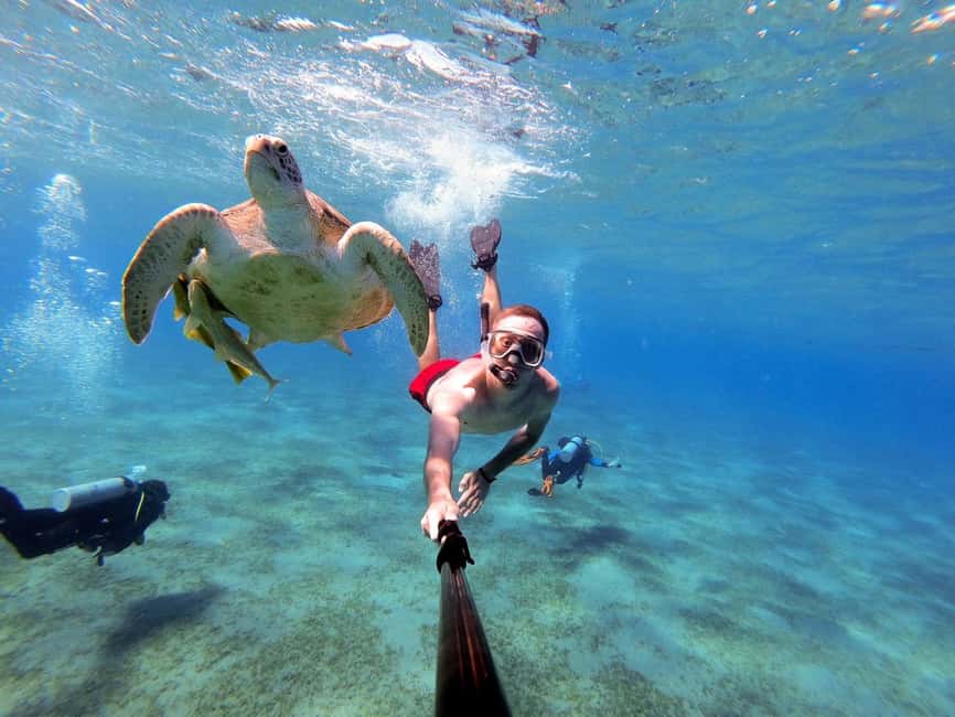 Marsa Alam: Snorkeling with Sea Turtles Marsa Mubarak - Why Marsa Mubarak is worth your day