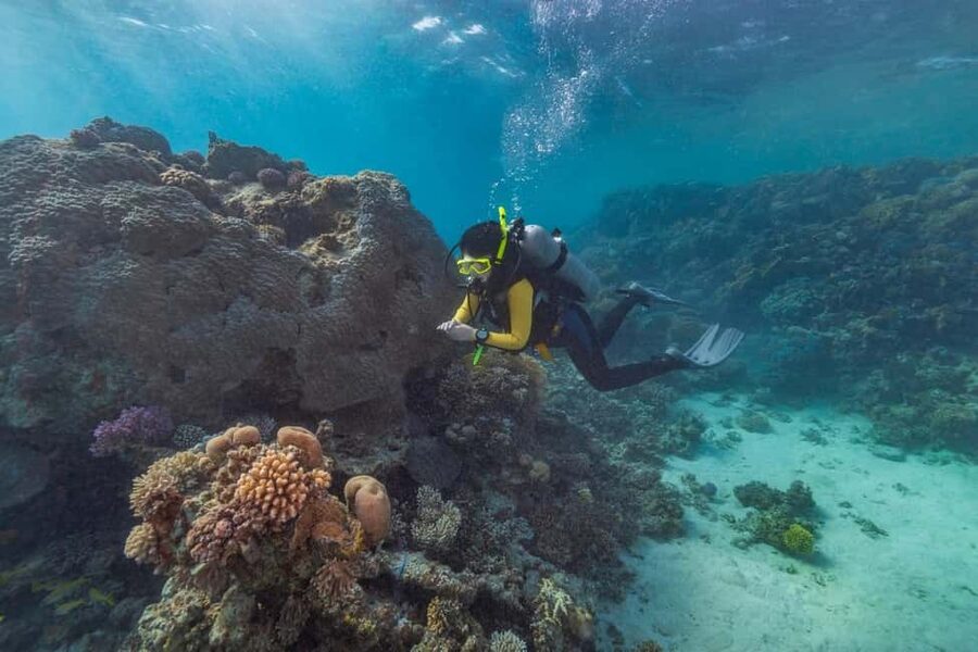 Marsa Alam: Snorkeling with Sea Turtles Marsa Mubarak - Is $68 a good value?