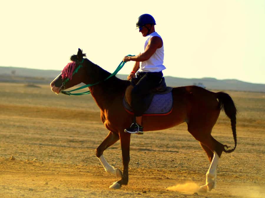 Marsa Alam: Sunrise Horseback with Breakfast - The VIP four-hour ride and Red Sea swim
