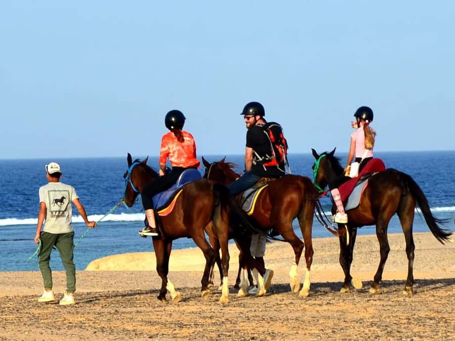 Marsa Alam: Sunrise Horseback with Breakfast - Transfers from Coraya Bay, Port Ghalib, and Marsa Alam