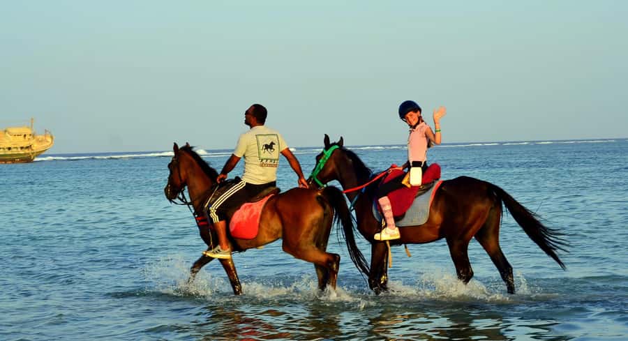 Marsa Alam: Sunrise Horseback with Breakfast - Practical preparation before you leave