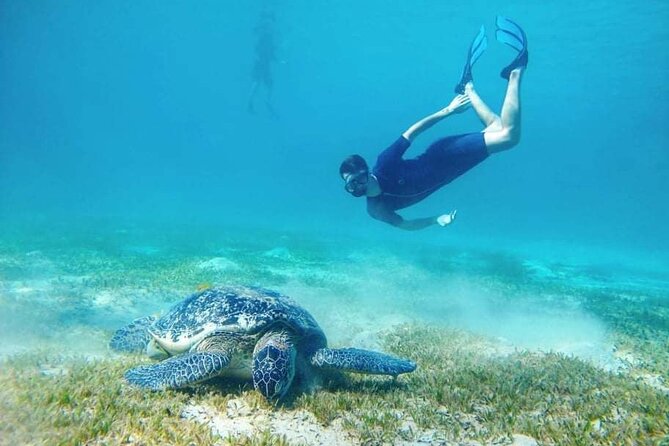 Marsa Mubarak snorkeling with dugong and turtles - marsaalam - Lunch on board and the pace of the day