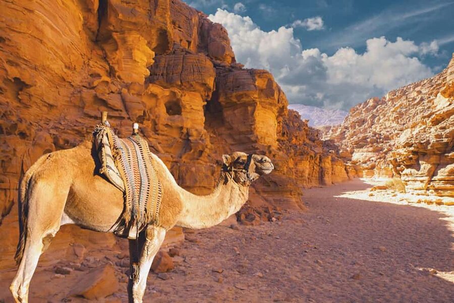Moses Mountain & Saint Catherine from Dahab - What $39 really covers