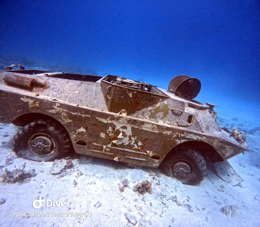 Museum Diving Experience in the Red Sea - Key points to know before booking