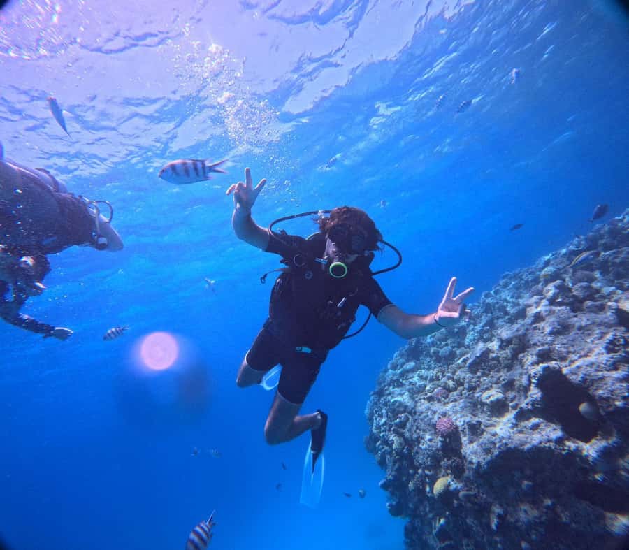 Museum Diving Experience in the Red Sea - The second site and the artificial reef experience