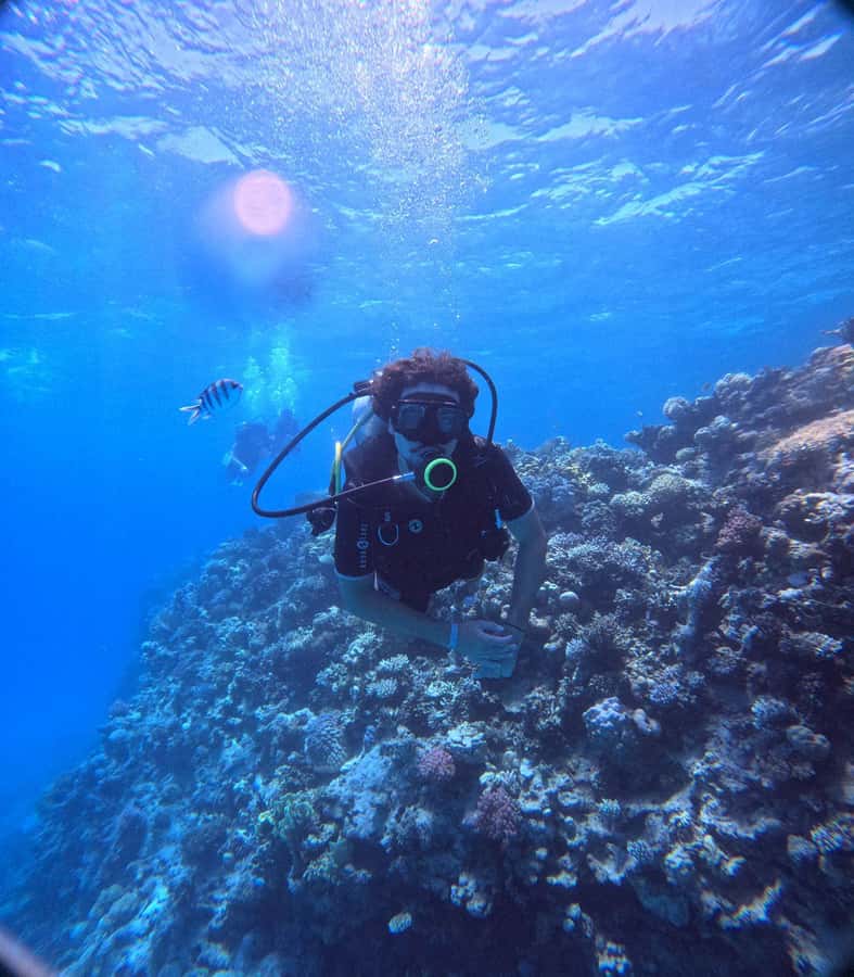Museum Diving Experience in the Red Sea - Why the guides matter for beginners