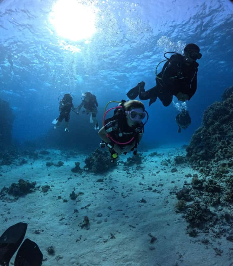 Museum Diving Experience in the Red Sea - The main drawback: confirm the museum site
