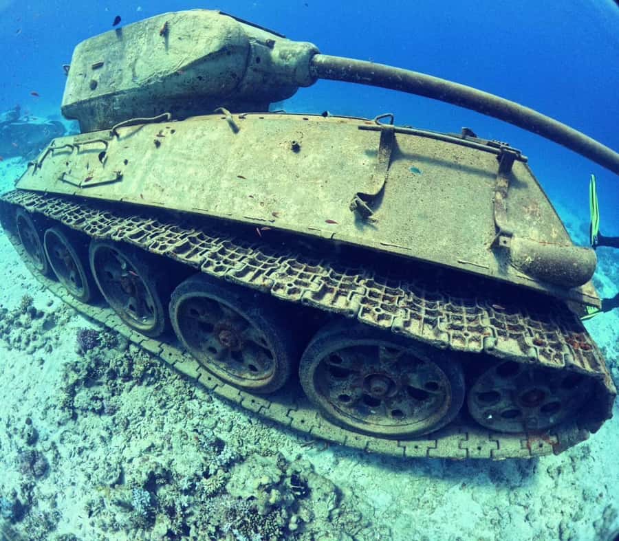 Museum Diving Experience in the Red Sea - The day begins with hotel pickup
