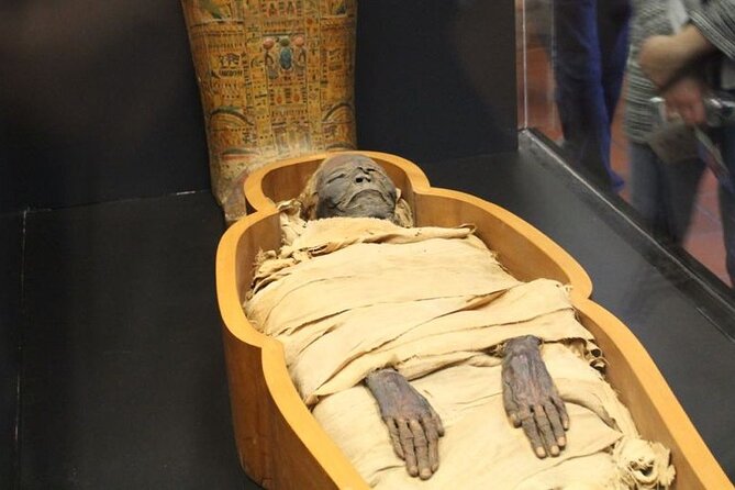 National Museum of Egyptian Civilization Private Guided Tour - A walk through more than 50,000 objects