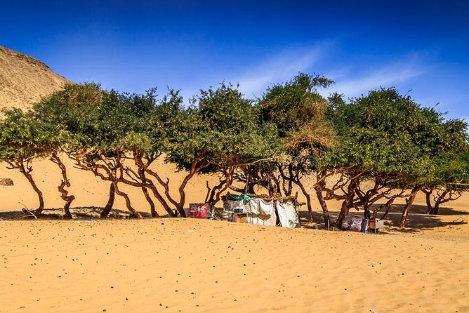 Nubian Village by Motorboat In Aswan - Walking through Sohail Island’s colorful streets