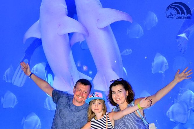 Official Account: Hurghada Grand Aquarium Entrance Tickets - How long should you stay?