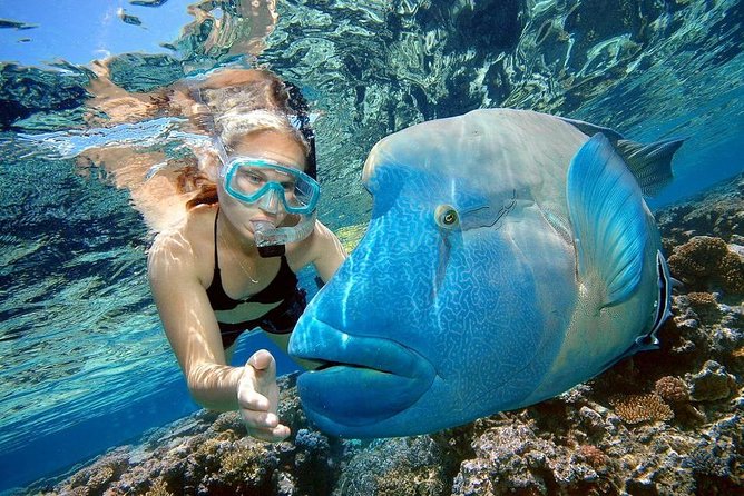 Orange Bay Island Snorkeling Trip With Water Sports - Hurghada - The boat day has a firm rhythm
