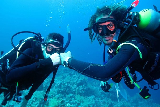 PADI Open Water Diver Course - Key points to know before you book
