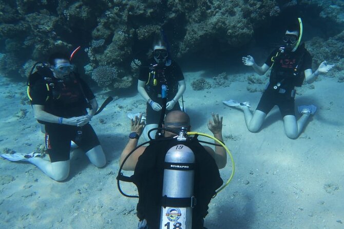 PADI Open Water Diver Course - What you are really buying for $411.31