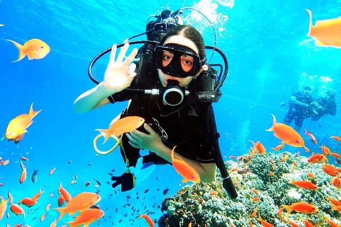 PADI Open Water Diver Course - Why the Red Sea makes a useful classroom