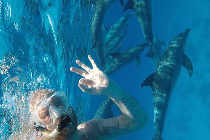 PADI Open Water Diver Course in Hurghada - Learn Scuba Diving - Key points at a glance