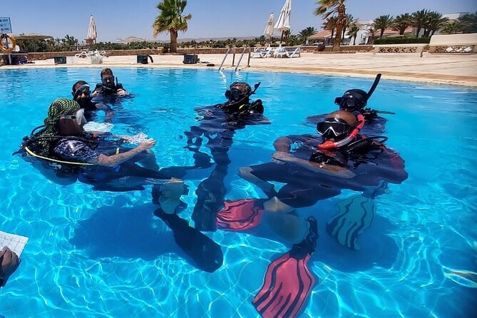 PADI Open Water Diver Course in Hurghada - Learn Scuba Diving - What the three-day PADI course actually teaches