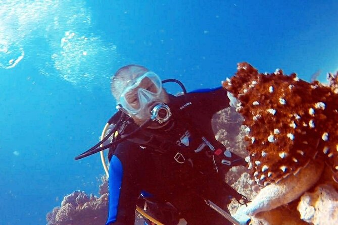 PADI Open Water Diver Course in Hurghada - Learn Scuba Diving - Day one: video work and two shallow-water sessions