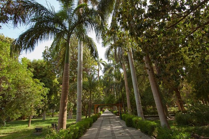 Private 1-Hour Felucca Sailing and Botanical Garden In Aswan - Should you book the felucca and garden visit?