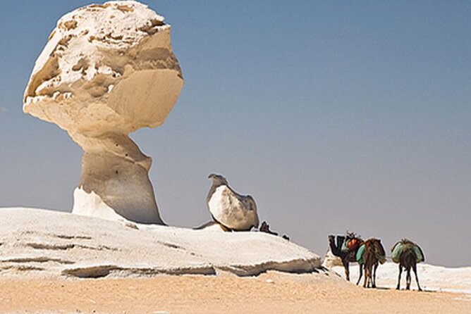 Private 2 Days Jeep Safari to White Desert and Bahariya Oasis - Cairo to Bahariya Oasis: the price of reaching open desert