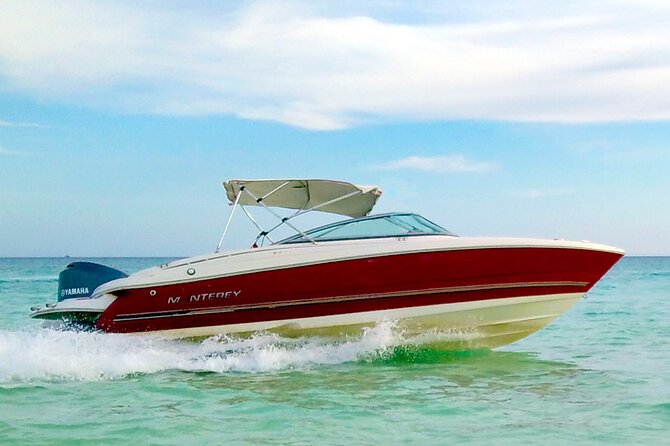 PRIVATE! | 4-hour Speed Boat Trip | Swim With Dolphins, Snorkeling & Island - Equipment: Check It Before You Leave