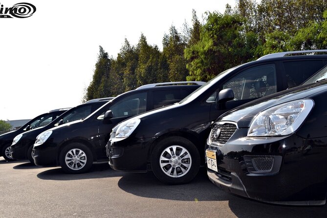 Private Airport Transfer: Cairo Airport Transfer to anywhere in Cairo - The Ride From the Airport to Your Door