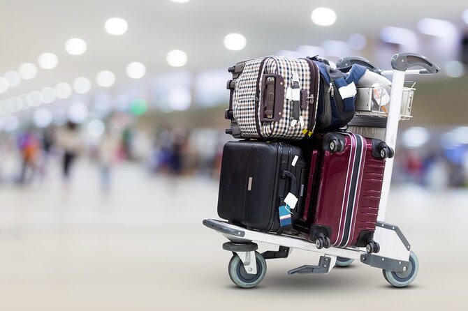 Private Airport Transfer in Cairo - Private transport versus arranging a taxi after landing