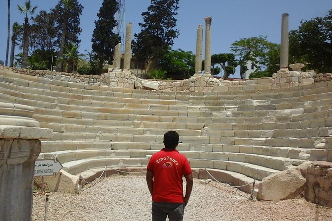 Private Alexandria Highlights Guided Day Tour - Why this Alexandria day tour makes sense