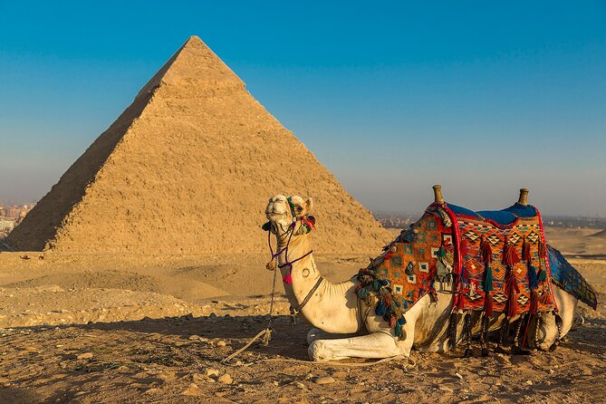 Private Cairo Aswan Luxor 8 days 7 nights with Nile Cruise - Kom Ombo and Edfu show two very different temples