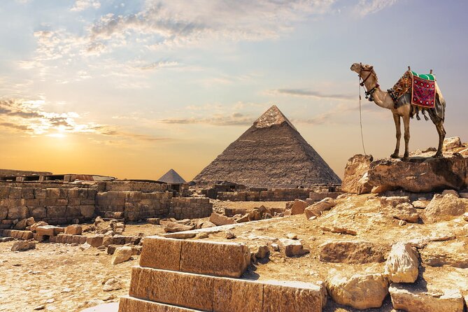 Private Day Pyramids and Grand Egyptian Museum with free camel - What the private vehicle adds