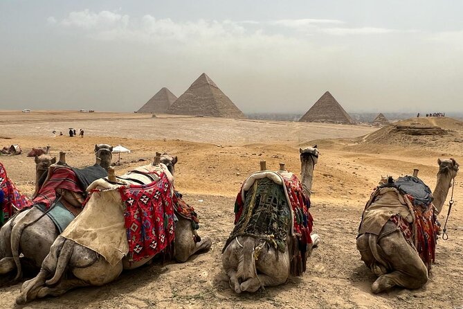 Private Day Pyramids and Grand Egyptian Museum with free camel - Practical ways to get more from the day