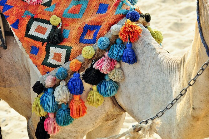 Private Day Tour of Giza Pyramids, Egyptian Museum, and Bazaar" - Who should book this tour