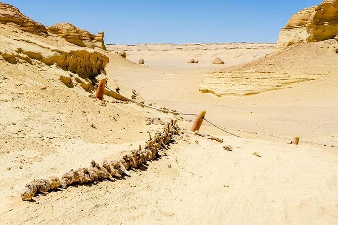 Private Day Tour To El Fayoum From Cairo - Wadi Al Hitan, the Valley of Whales