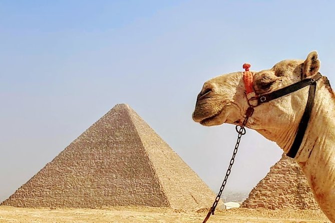 Private day trip to Cairo from Hurghada - Lunch is practical, not the main event