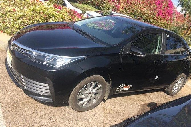 Private Departure Transfer from Cairo City to Cairo Airport - Finding the right terminal at Cairo Airport
