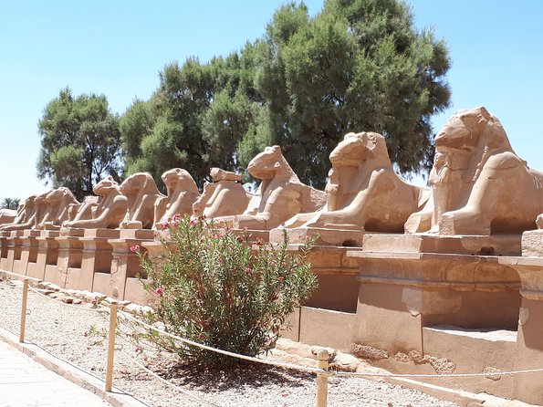 Private Full Day Tour to Luxor from Cairo with Flight - Other Luxor sites listed in the route