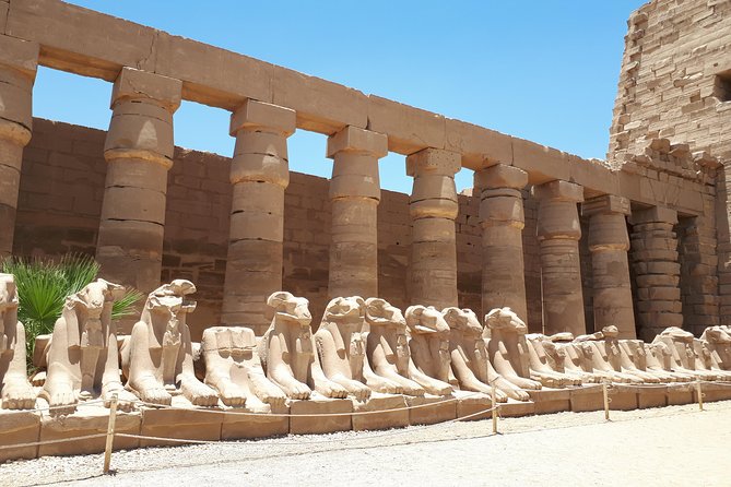 Private Full Day Tour to Luxor from Cairo with Flight - The guide makes or breaks the day