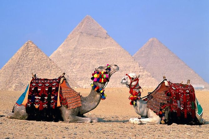 Private Guided Tour to Giza pyramids, Sphinx, Saqqara and Memphis + Lunch - Giza: the biggest names in Egyptian history