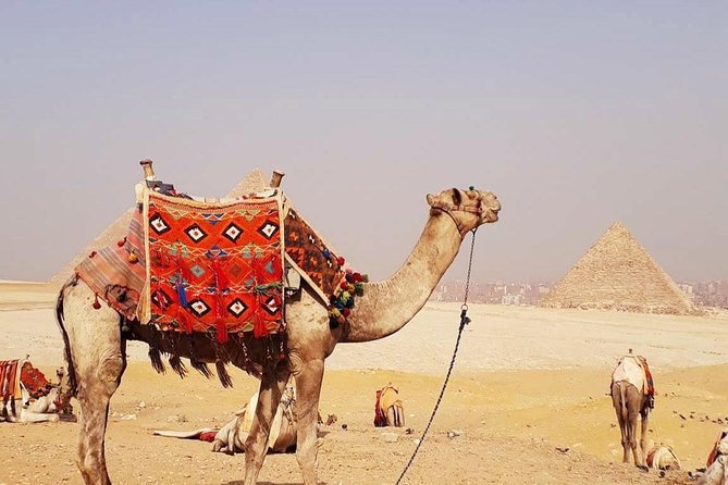 Private Half-Day Tour to Giza Pyramid ,Sphinx and Camel Ride - What this four-hour Giza tour really gives you